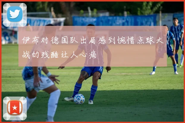 伊布对德国队出局感到惋惜点球大战的残酷让人心痛